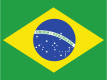 ptbr language flag
